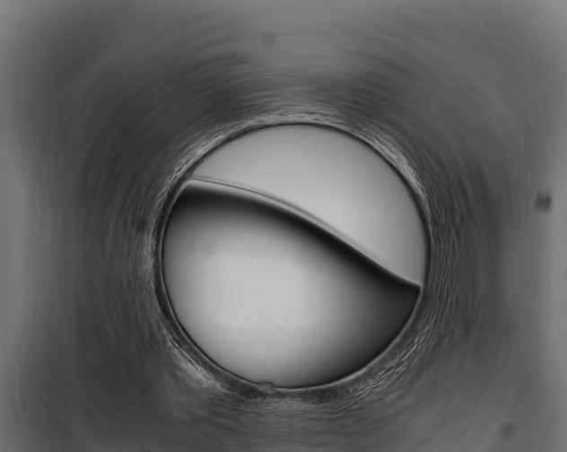 X0000100770389200806190938