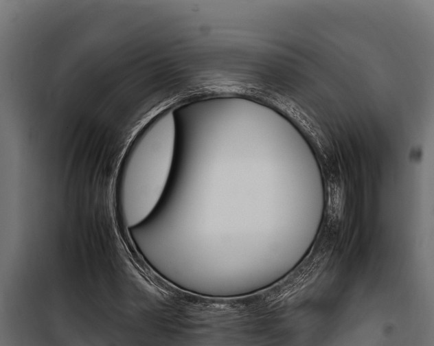 X0000100770390200806190938
