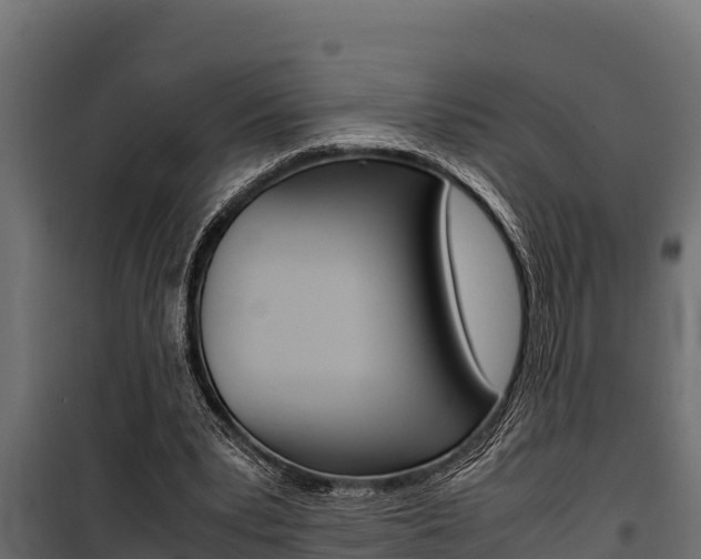 X0000100770391200806190938