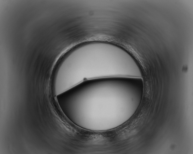 X0000100770392200806190938
