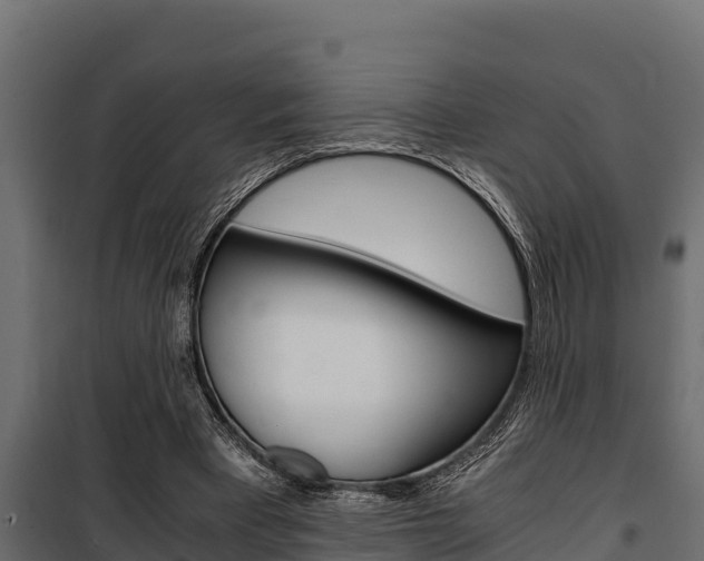 X0000100770393200806190938