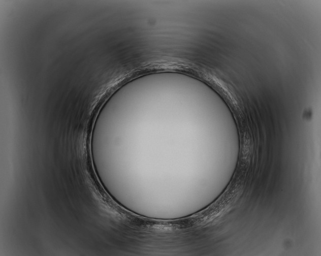 X0000100770394200806190938