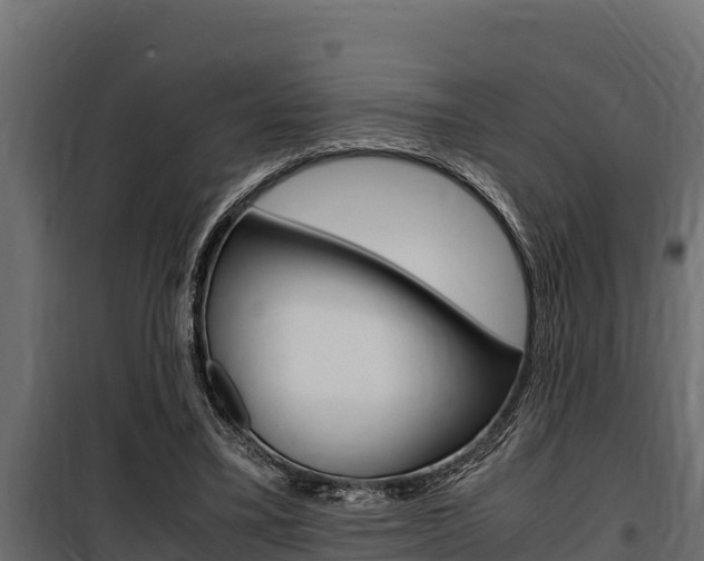 X0000100770395200806190938