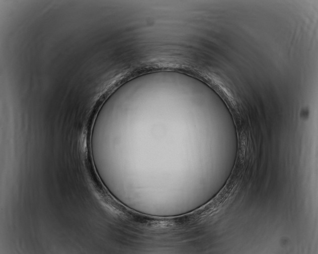 X0000100770398200806190938