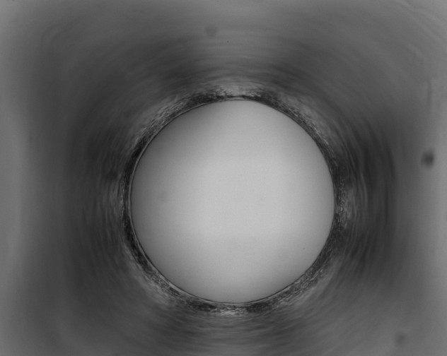 X0000100770402200806190938