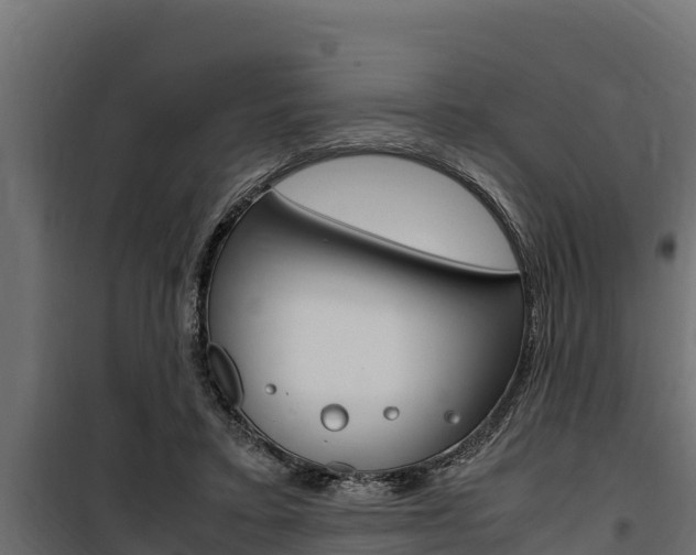 X0000100770403200806190938
