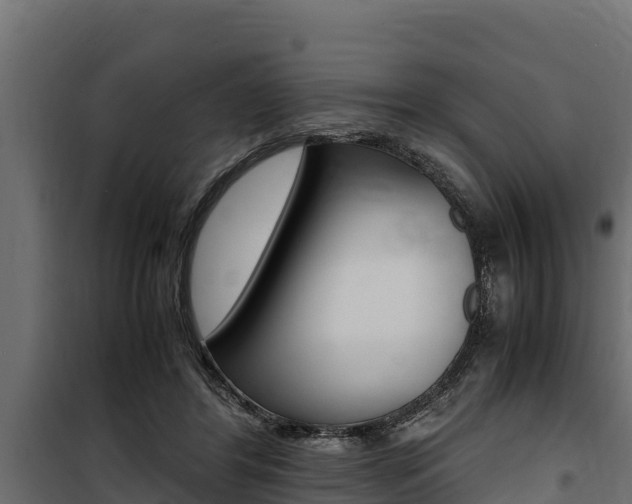 X0000100770404200806190938