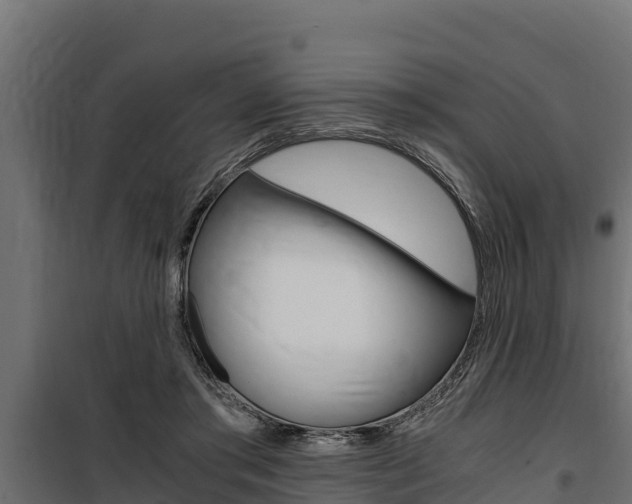 X0000100770405200806190938