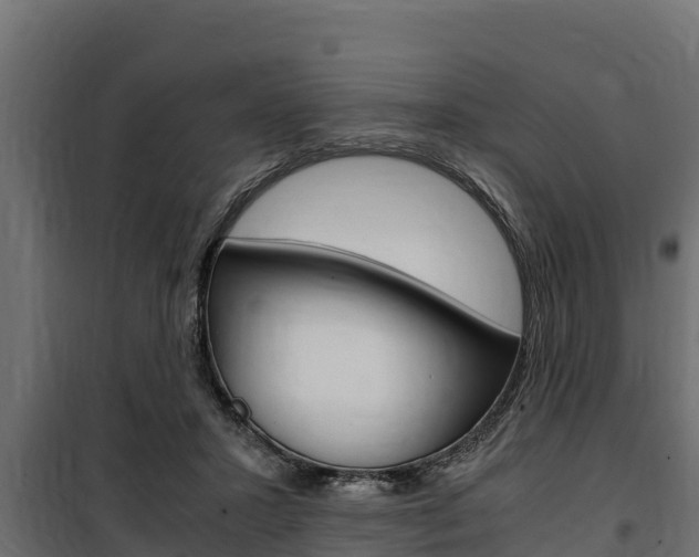 X0000100770407200806190938