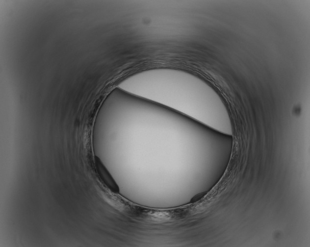 X0000100770409200806190937