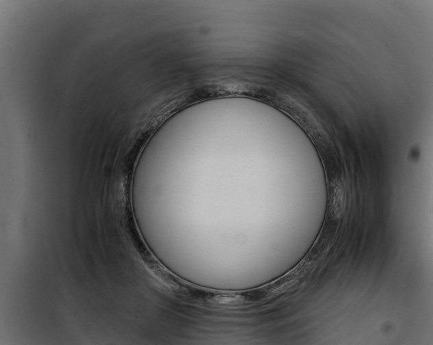 X0000100770410200806190937