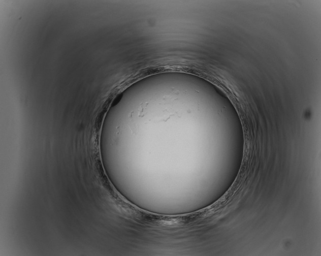 X0000100770411200806190937