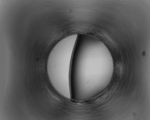 X0000100770412200806190937