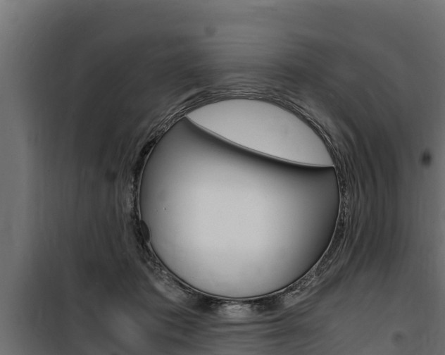 X0000100770413200806190937