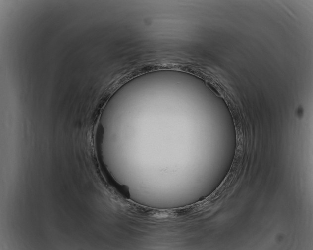 X0000100770415200806190937