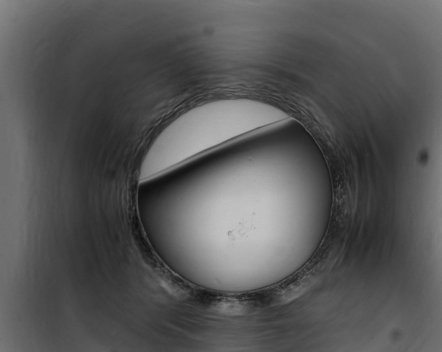 X0000100770416200806190937