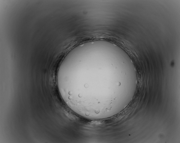 X0000100770418200806190937