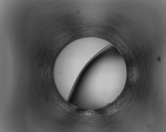 X0000100770420200806190937