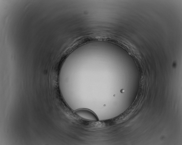X0000100770421200806190937