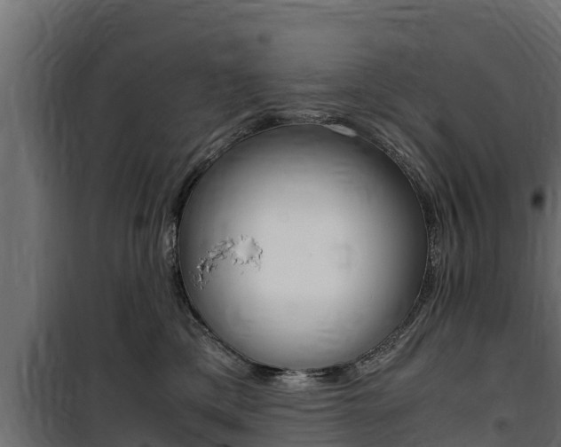 X0000100770425200806190937