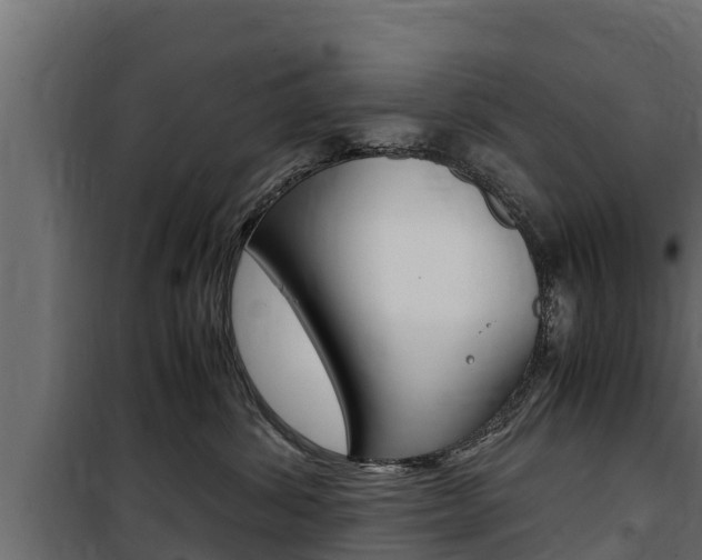 X0000100770428200806190937
