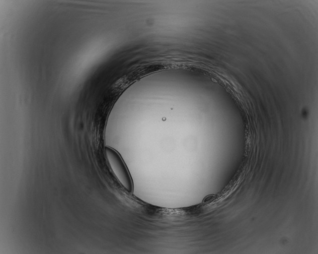 X0000100770429200806190937
