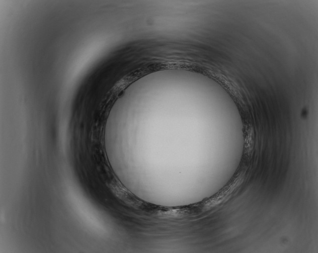 X0000100770430200806190937