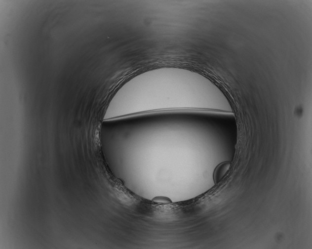 X0000100770432200806190937