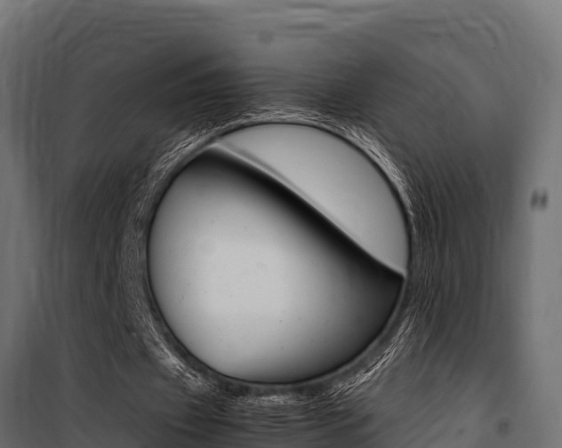 X0000100770433200806190936