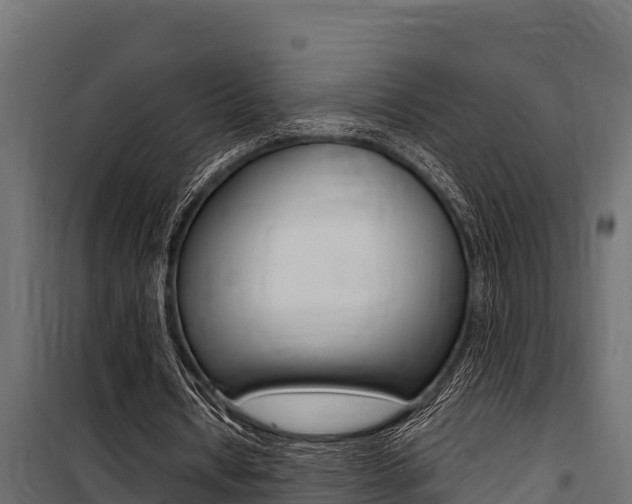 X0000100770434200806190936