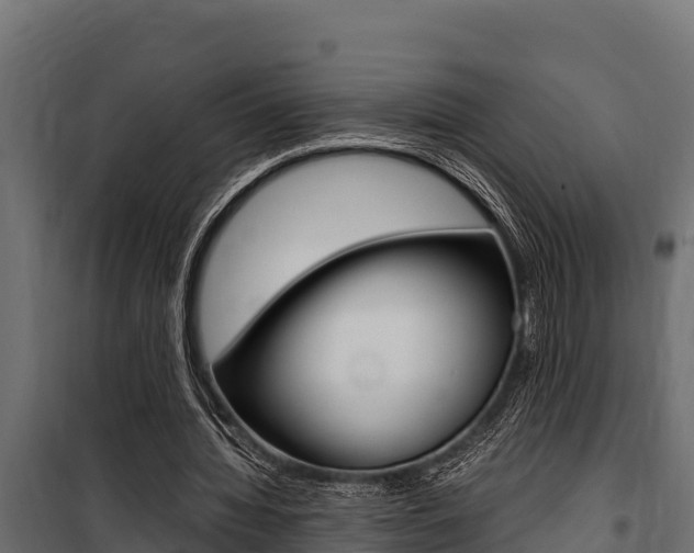 X0000100770436200806190936