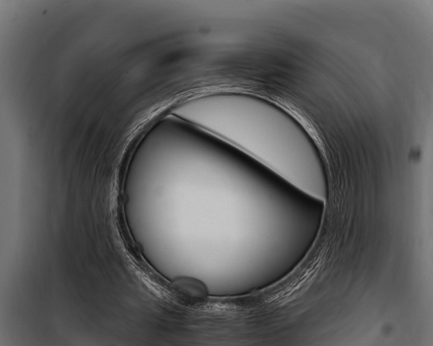 X0000100770437200806190936