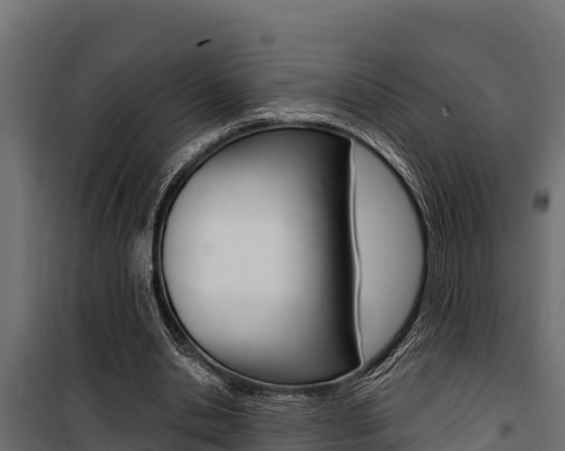 X0000100770438200806190936