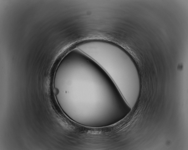 X0000100770440200806190936