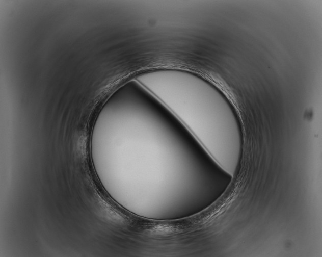 X0000100770441200806190936