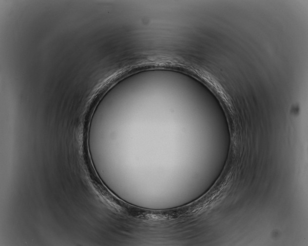 X0000100770442200806190936