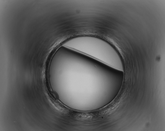X0000100770443200806190936