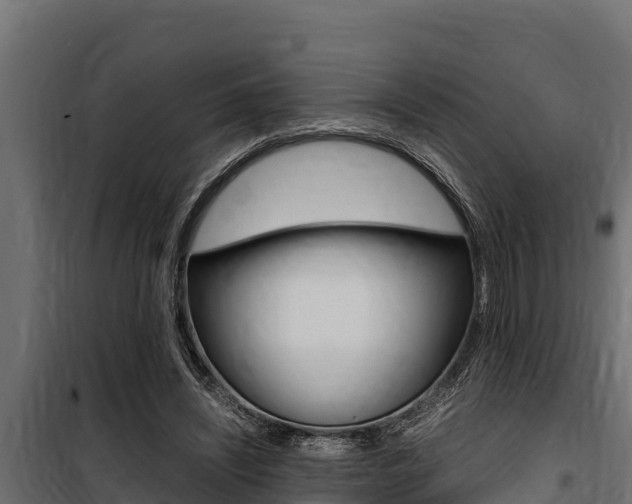 X0000100770444200806190936