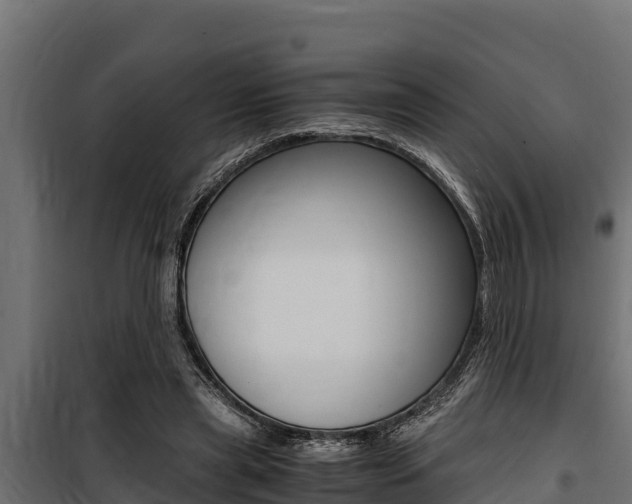 X0000100770445200806190936