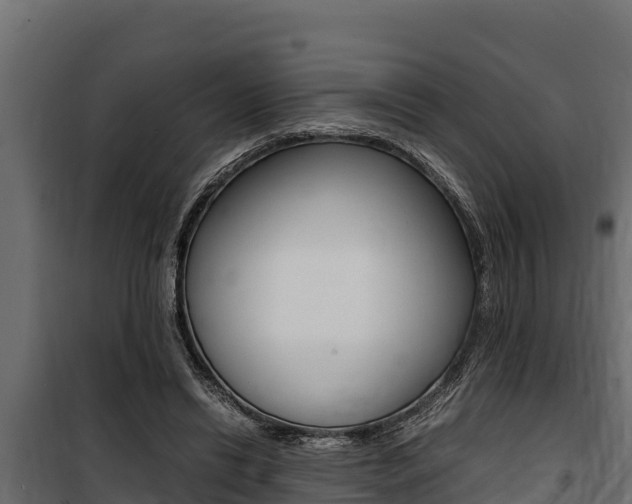 X0000100770446200806190936