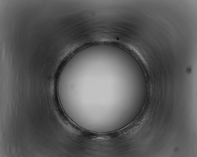 X0000100770447200806190937