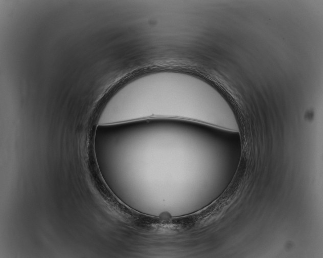X0000100770448200806190937