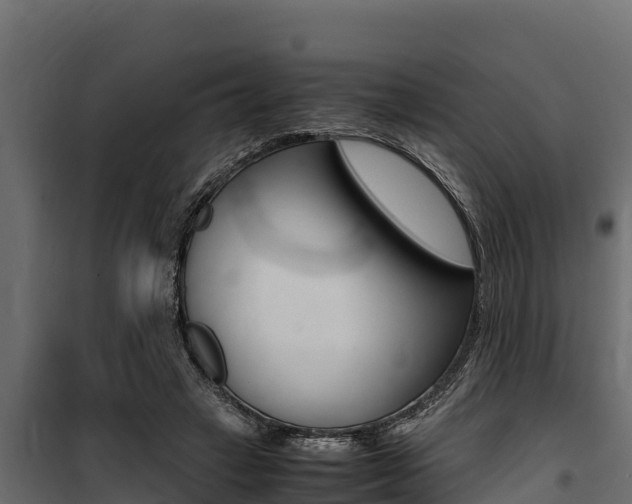 X0000100770449200806190937
