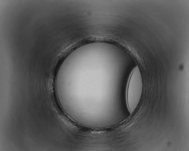 X0000100770450200806190937