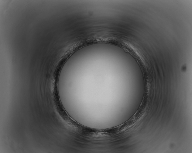 X0000100770451200806190937