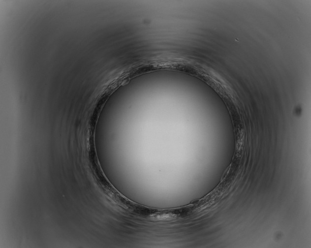 X0000100770452200806190937