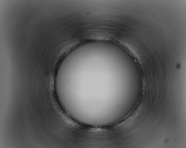 X0000100770453200806190937