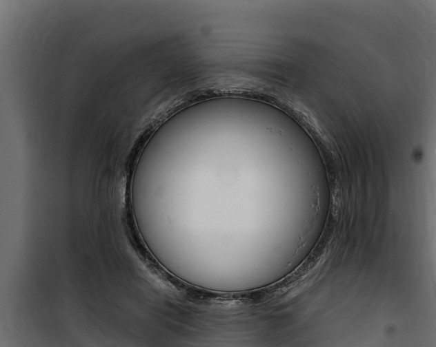 X0000100770454200806190937