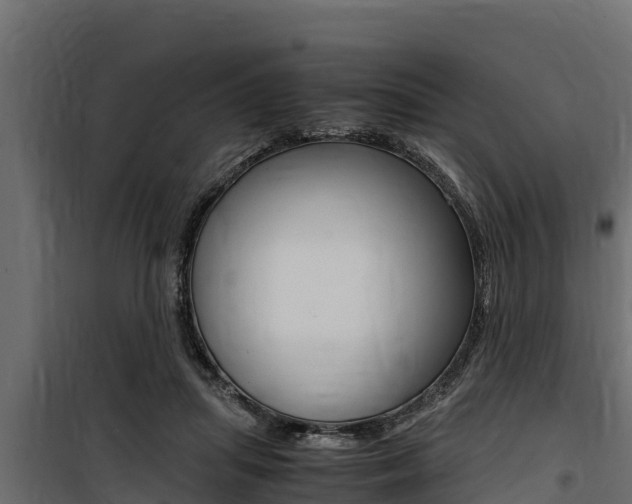X0000100770455200806190937