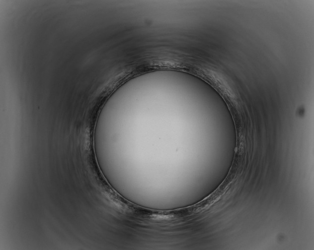 X0000100770457200806190937